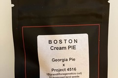 Vente: Boston Creampie from LIT Farms x Grandiflora