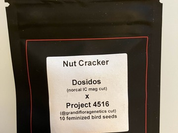 Venta: Nut Cracker from LIT Farms x Grandiflora
