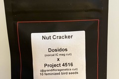 Vente: Nut Cracker from LIT Farms x Grandiflora
