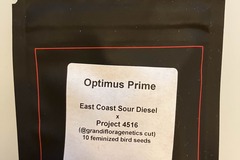 Vente: Optimus Prime from LIT Farms x Grandiflora