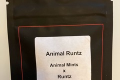 Vente: Animal Runtz from LIT Farms