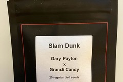 Vente: Slam Dunk from LIT Farms x Grandiflora