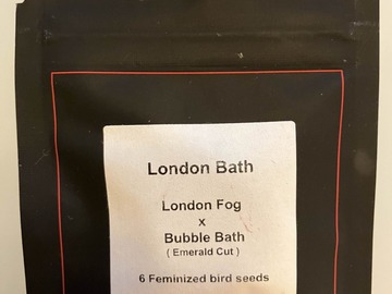 Venta: London Bath from LIT Farms