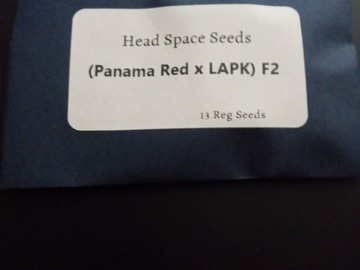 Sell: Headspace Seeds