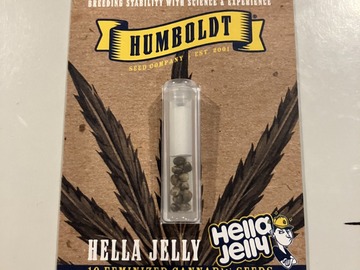 Venta: Hella Jelly Seeds Humboldt Seed Company FEM 10 Pack