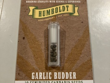Venta: Garlic Budder Seeds - FEM 10 PACK Humboldt Seed Company