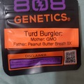 Sell: TURD BURGLER 808 GENETICS