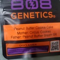 Sell: PEANUT BUTTER COOKIE CAKE 808 GENETICS
