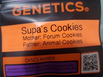 Venta: SUPA'S COOKIES 808 GENETICS