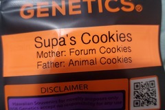 Sell: SUPA'S COOKIES 808 GENETICS