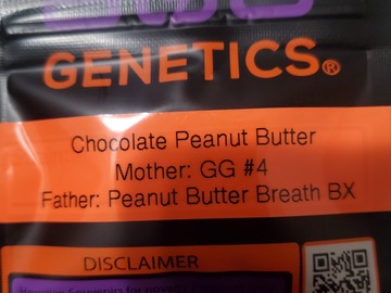 Venta: CHOCOLATE PEANUT BUTTER 808 GENETICS