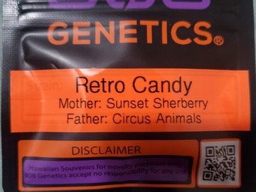 Vente: RETRO CANDY 808 GENETICS