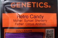 Sell: RETRO CANDY 808 GENETICS
