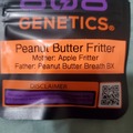 Venta: PEANUT BUTTER FRITTER 808 GENETICS