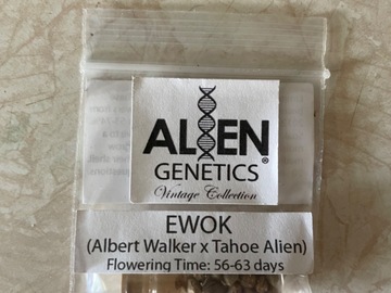 Vente: Alien Genetics EWOK