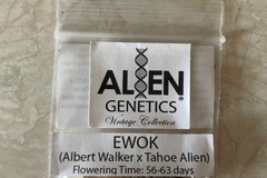 Vente: Alien Genetics EWOK