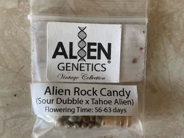 Venta: Alien Genetics Alien Rock Candy