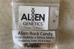 Vente: Alien Genetics Alien Rock Candy
