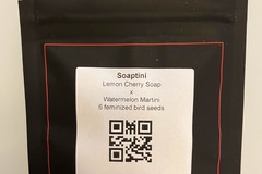 Sell: Soaptini from LIT Farms