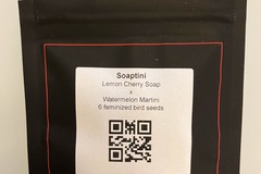 Venta: Soaptini from LIT Farms