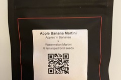 Venta: Apple Banana Martini from LIT Farms