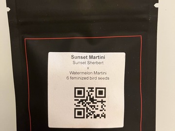 Sell: Sunset Martini from LIT Farms