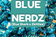 Vente: BLUE NERDZ (Blue Sherb x Zkittlez)