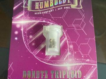 Sell: Triploid - donuz - HSC - Humboldt seed co