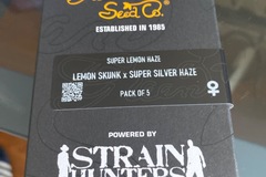 Sell: Super lemon haze - strain hunters - green house seed company