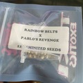 Vente: Rainbow belts x Pablo’s revenge - tiki madman