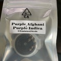Vente: Purple afghani x purple  - csi humboldt