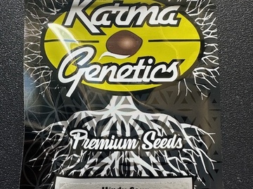 Vente: KARMA GENETICS - HINDU SOUR - 6 REG SEEDS