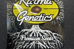 Sell: KARMA GENETICS - HINDU SOUR - 6 REG SEEDS