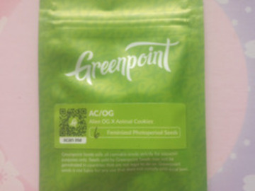 Subastas: *Auction* AC/OG - Greenpoint Seeds