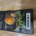 Vente: Crickets and cicada Pacific Northwest hashplant bx 2