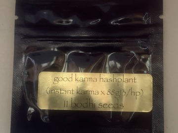 Vente: Good Karma Hashplant (Instant Karma x 88G13HP) - Bodhi Seeds