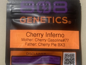 Auction: Cherry Inferno (Cherry Gasoline x Cherry Pie BX3) - 808