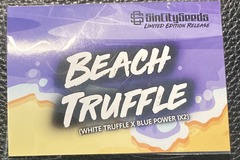 Vente: Beach Truffle (White Truffle x Blue Power IX3) - Sin City