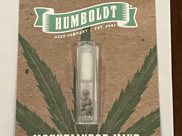 Sell: Mountaintop Mint Seeds FEM From Humboldt Seed Company