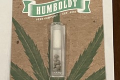 Vente: Mountaintop Mint Seeds FEM From Humboldt Seed Company