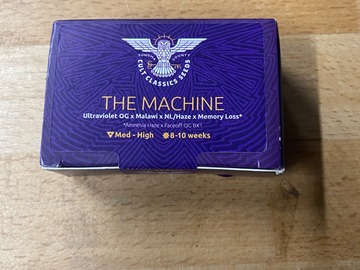 Sell: Cult Classic Seeds "The Machine"