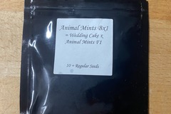 Venta: Seed Junky Animal Mints BX 1