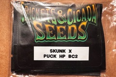 Sell: Skunk x Puck BC2