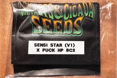 Vente: Cricket and Cicada:  Sensi Star (V1) x Puck BC2