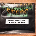 Sell: Cricket and Cicada:  Sensi Star (V1) x Puck BC2