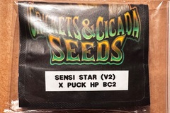 Sell: Cricket and Cicada:  Sensi Star (V2) x Puck BC2