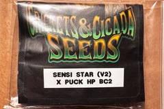 Vente: Cricket and Cicada:  Sensi Star (V2) x Puck BC2