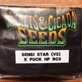 Sell: Cricket and Cicada:  Sensi Star (V2) x Puck BC2