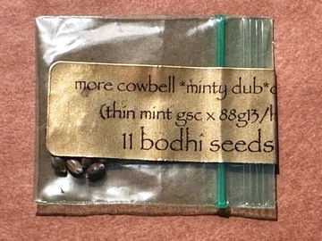 Vente: More Cowbell **Minty Dub**