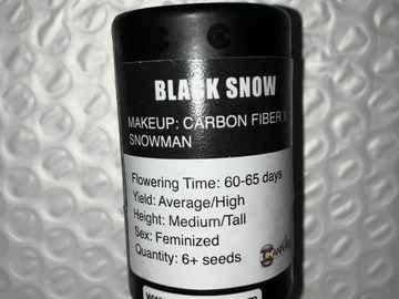 Auction: (AUCTION) Black Snow from Cannarado